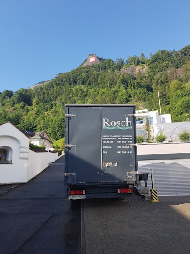 Roschumzug.ch