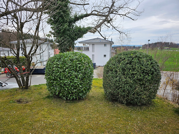 VG Hauswartung & Gartenunterhalt