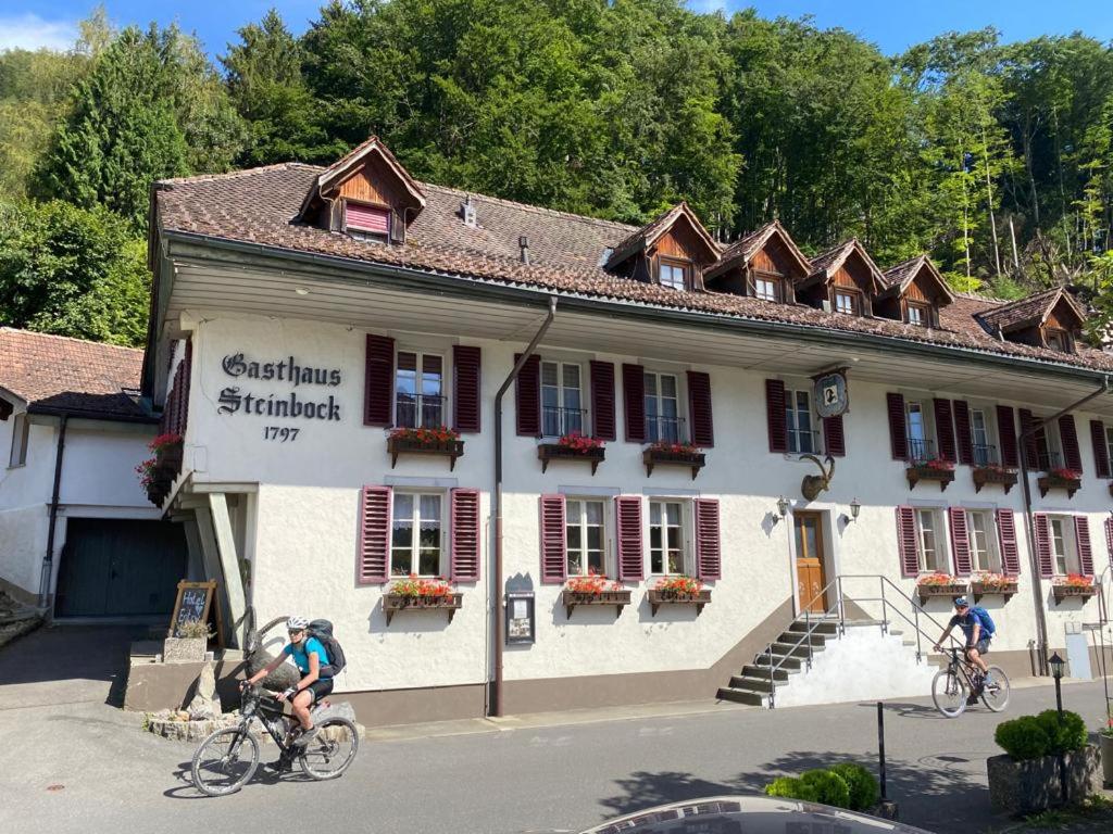 Historisches Hotel Steinbock