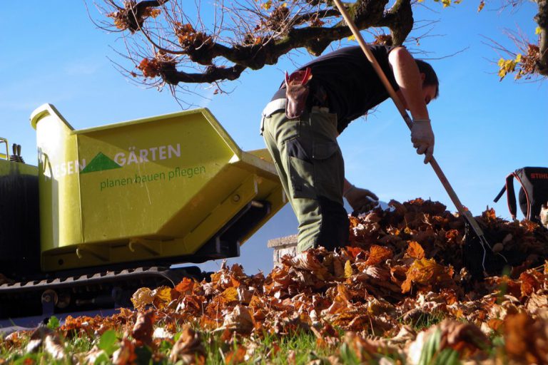 Niesen Gärten GmbH