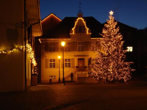 Hotel Gasthof zum Ochsen