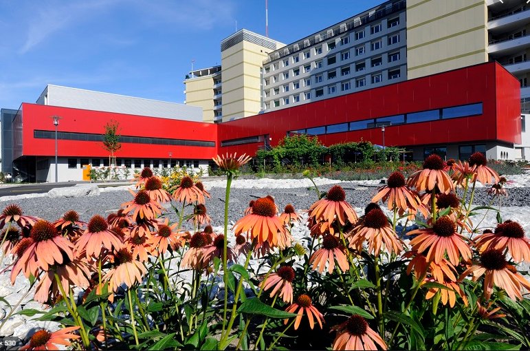 HFR – Hôpital fribourgeois (Site Hôpital de Fribourg)