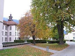 Psychiatrische Dienste Graubünden (PDGR), Clinic Waldhaus Chur – psychiatric hospital