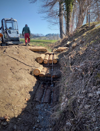 Re-forest Gartenbau GmbH