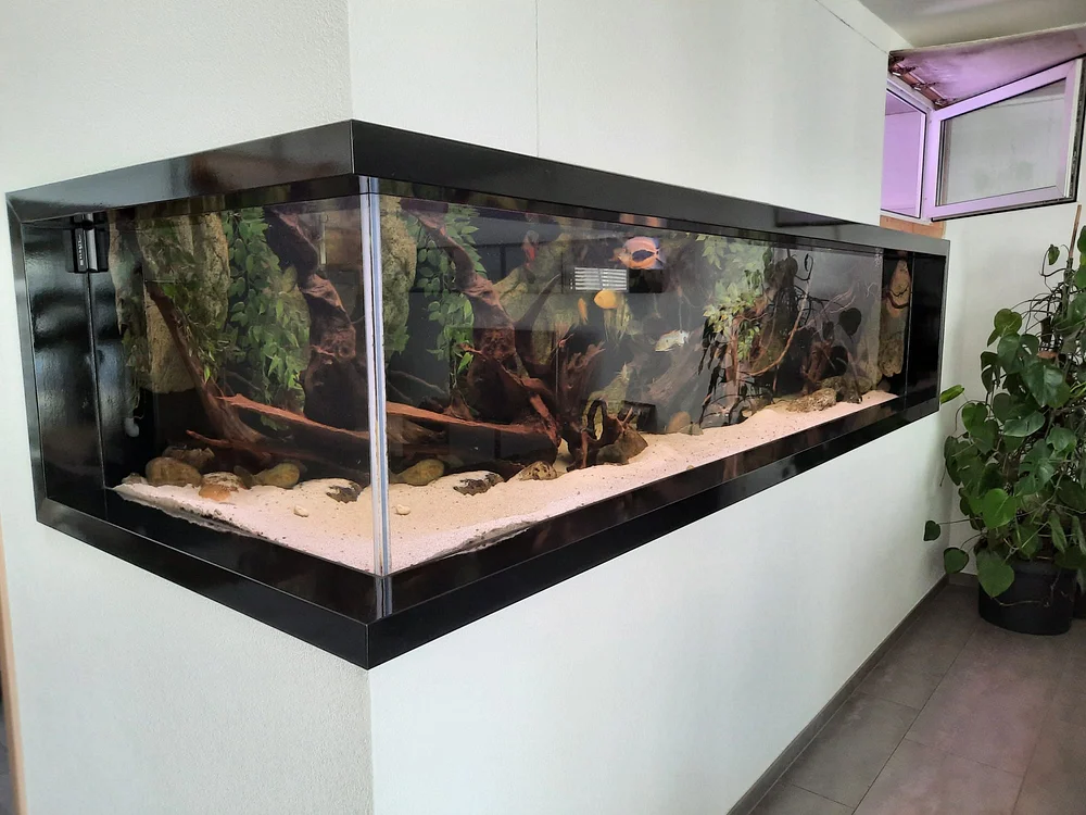 Aquarium-Bassin SARL