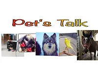 Pet’s Talk communication animale