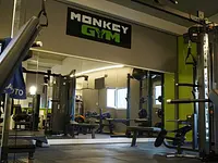 Monkey Gym Sagl