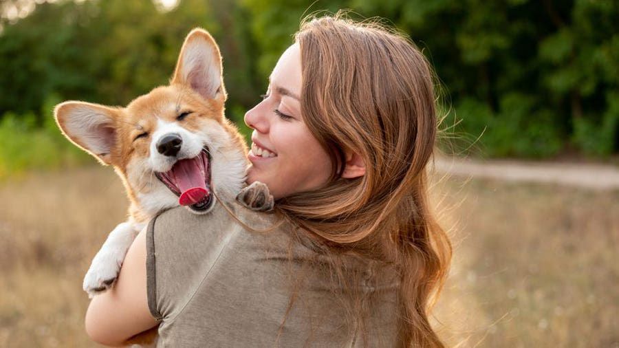 Hundeschule Teamgeist