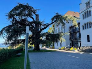 Schloss Wartensee