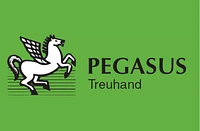 Pegasus Treuhand Urs Vögele Beratungen GmbH