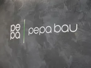 P + P PePa Bau GmbH