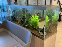 Aquarium-Bassin SARL