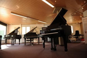 Piano Herzig AG