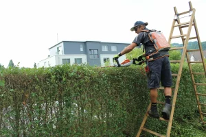 Schwarz GmbH Gartengestaltung