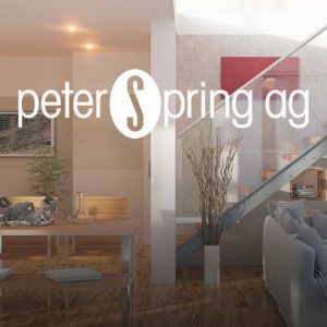 Spring Peter AG