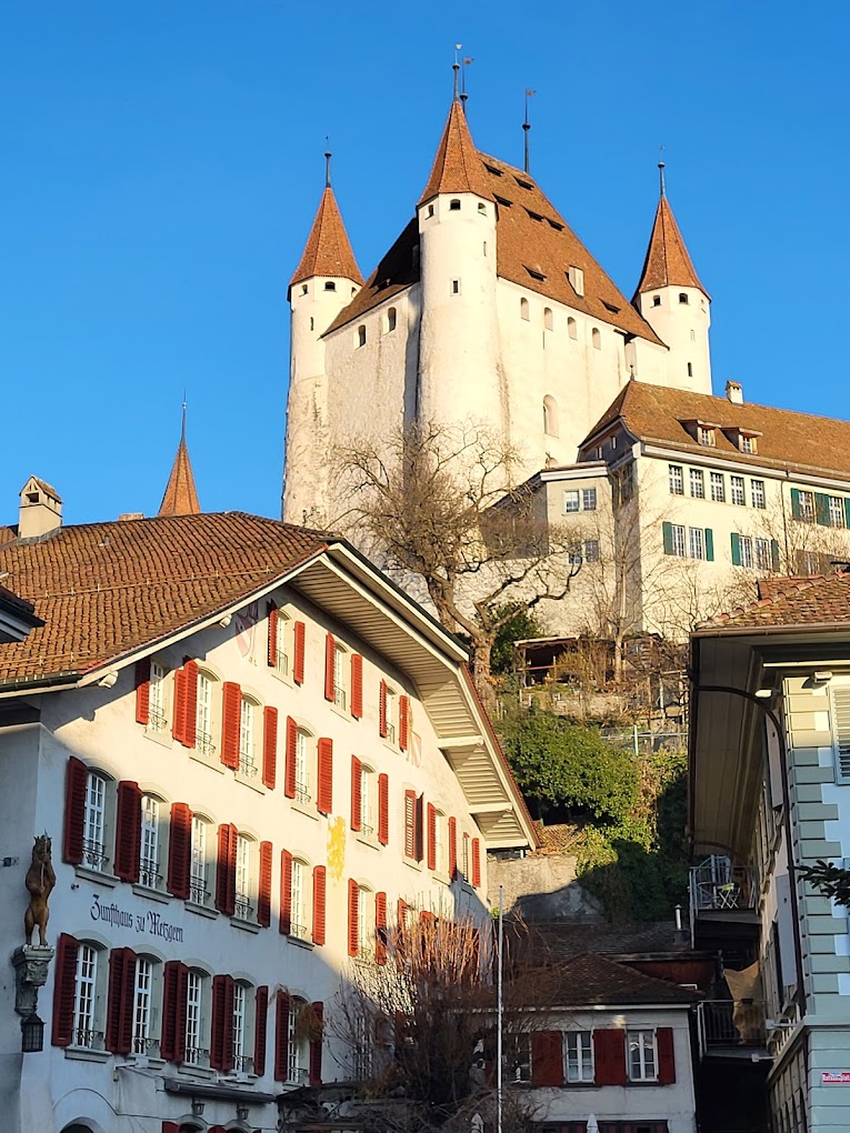 Zunfthaus zu Metzgern